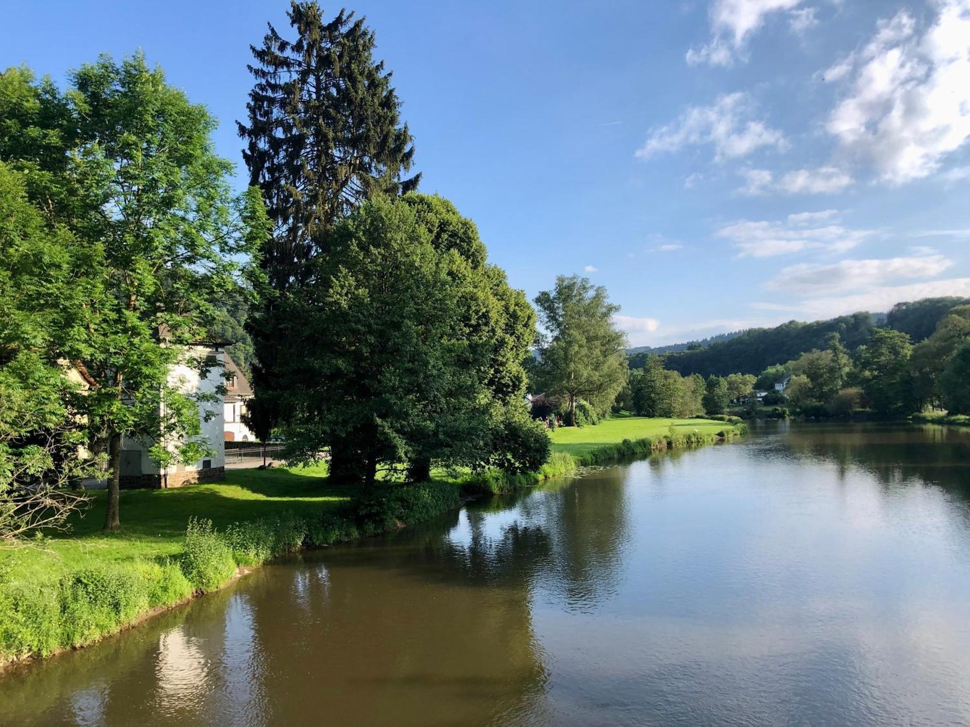 Ferienwohnung "Gaston" Mitten In Waldbreitbach Exterior foto